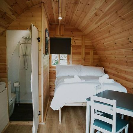 Pine Cosy Winter Cabin - Hot Tub & Log Burner Daire Barmouth Dış mekan fotoğraf