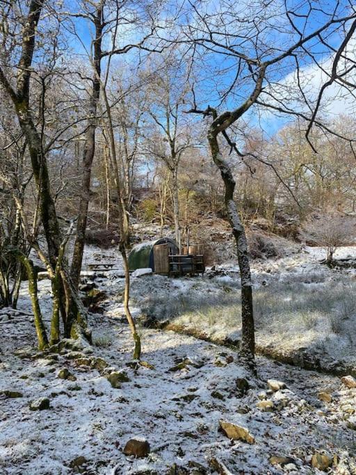 Pine Cosy Winter Cabin - Hot Tub & Log Burner Daire Barmouth Dış mekan fotoğraf